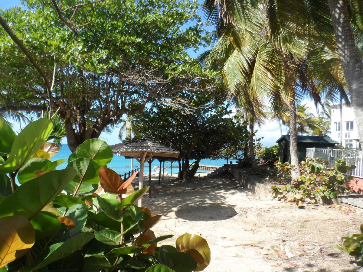 Studio "Bleu Turquoise" Le Gosier  Luaran gambar